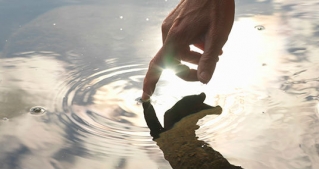 Enabling Technology, Empowering People