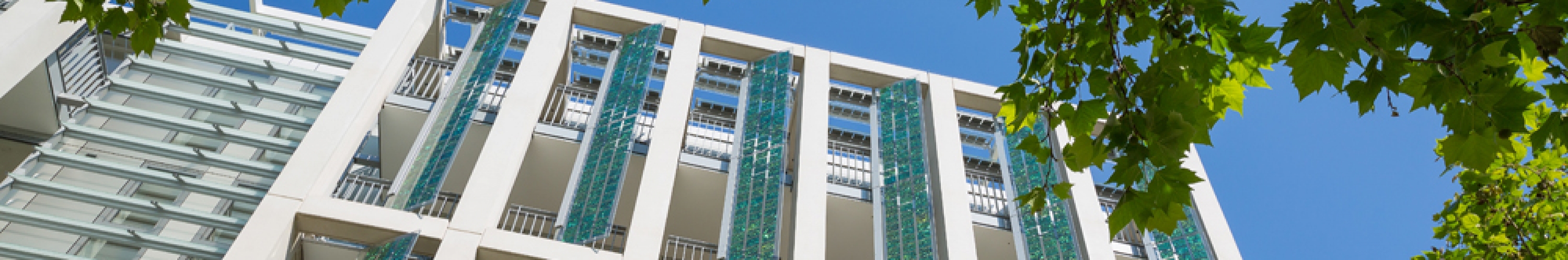 A Catalyst For Change