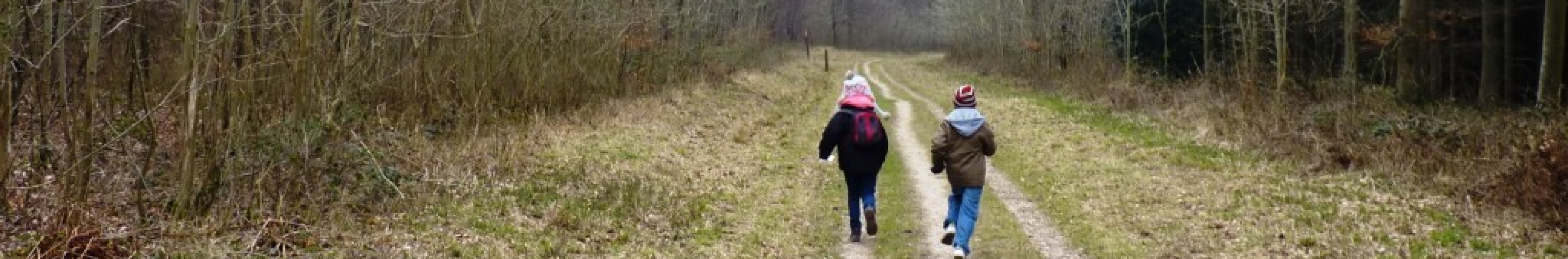 Hampshire Country Park Transformation
