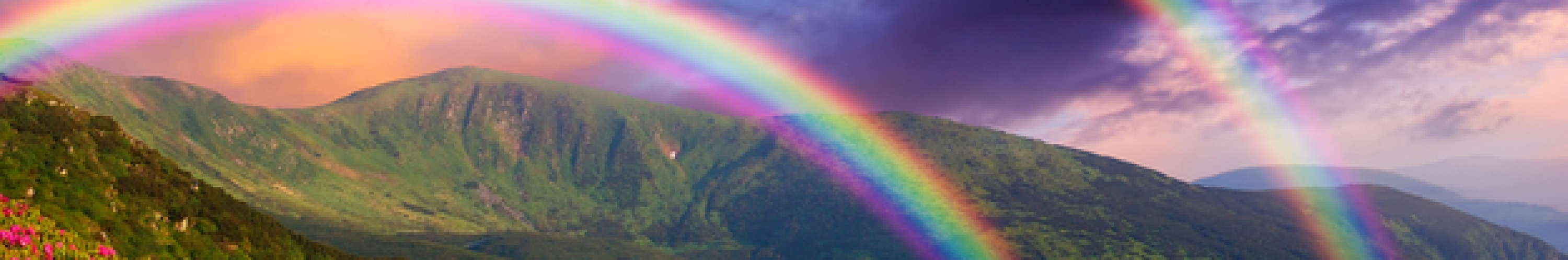 Professor aladin aladin