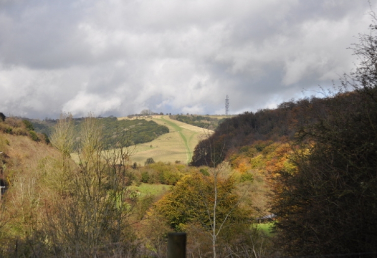 Hampshire Country Park Transformation