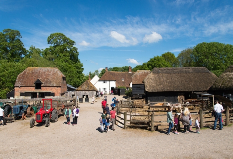 Hampshire Country Park Transformation