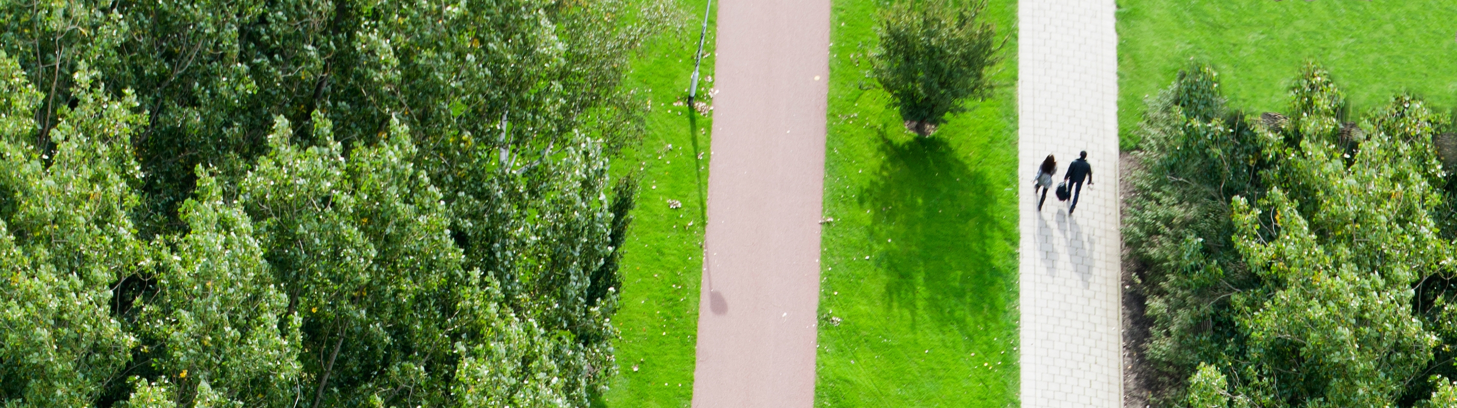 Sport, Leisure & Parks